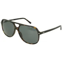 Ray-Ban Bill RB2198