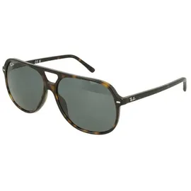 Ray-Ban Bill RB2198