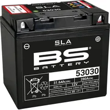 BS Battery 12V - 31,6Ah