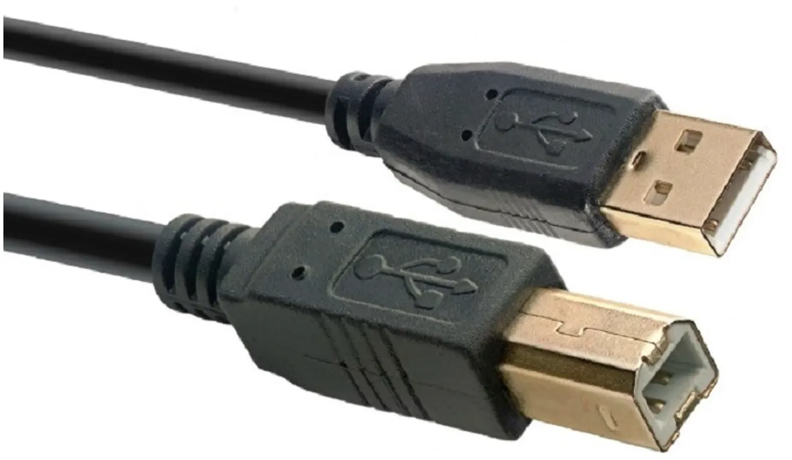 Stagg USB 2.0 Kabel, USB A/USB B (m/m), 5 m - USB-Kabel