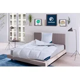 casimum 4-Jahreszeiten Daunendecke, »PREMIUM« – 90% Daunen, 10% Federn, Größe: 155x220