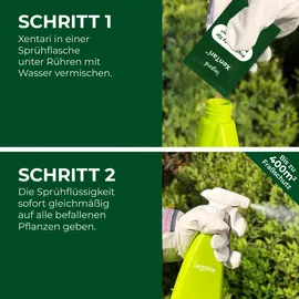 LEGO XenTari Zünslerfrei & Raupenfrei Insektizid 500 ml