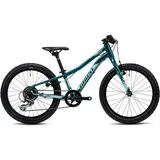 Mountainbike »Lanao 20 Pro«, 8 Gang, Shimano, Altus SL-M315 Schaltwerk, Kettenschaltung, 53858045-25 grün-mint 20 Zoll (50,80 cm)