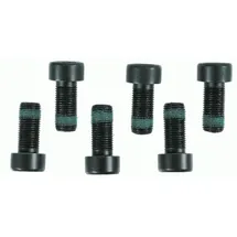 Sachs Schraubensatz, Schwungrad 1874000003