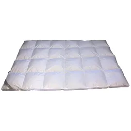 Betten Hofmann Premium 8cm Hochsteg Winter Daunenbett Bettdecke 4x6 Außensteg 135x200 cm - Weiß