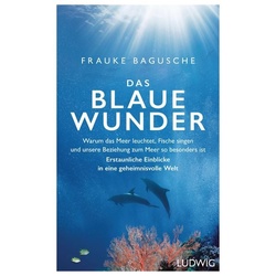 Das blaue Wunder