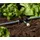 Biohort Bewässerungs-System für HochBeet, Belvedere und Gewächshaus Florentina