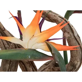 Europalms Paradiesvogel-Blume, orange, 95cm