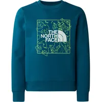 The North Face Kinder New Graphic Crew Pullover (Größe XL,