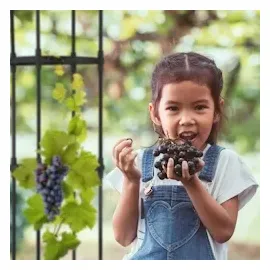 Relaxdays Obelisk Rankhilfe 188 x 30 cm Schwarz