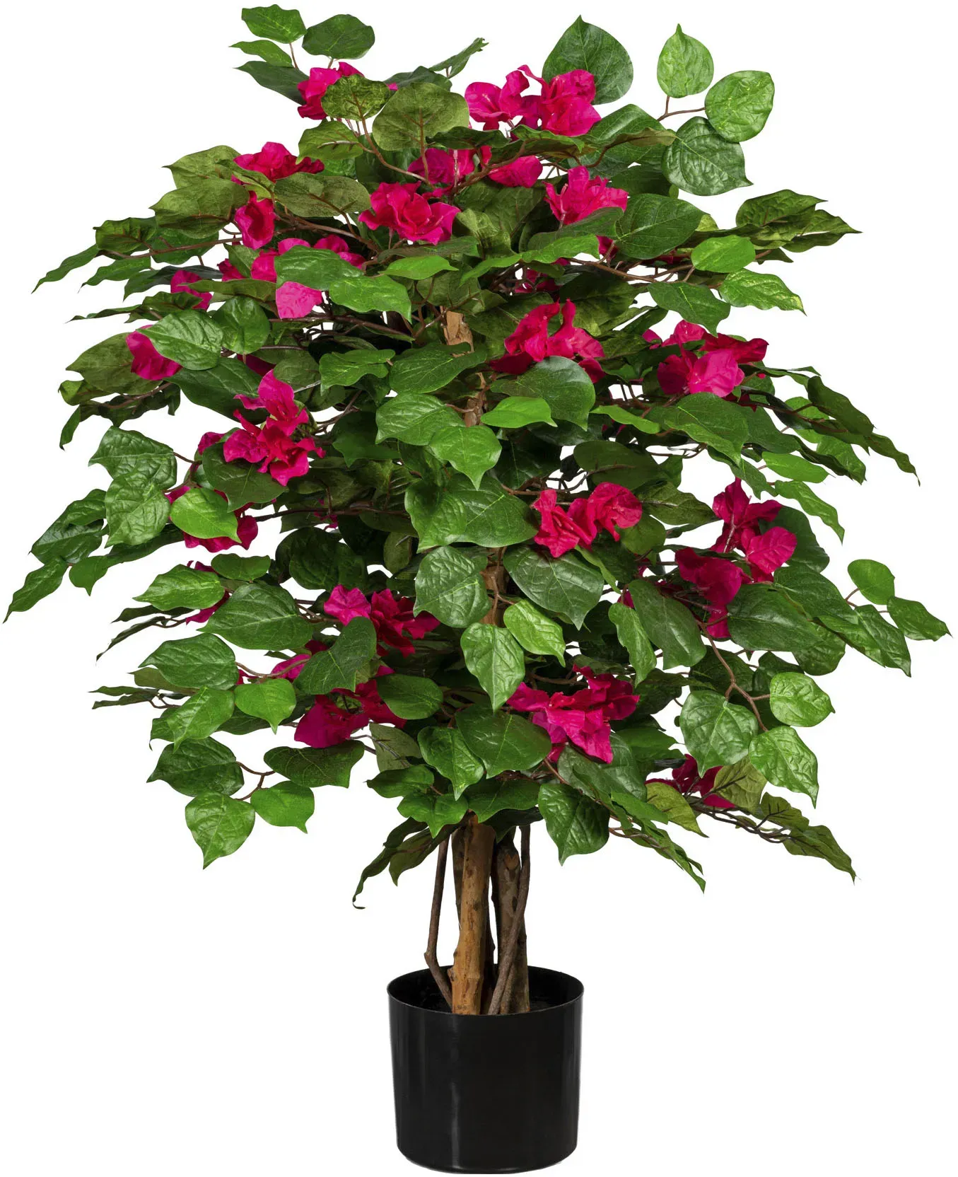 Creativ green Kunstpflanze »Bougainvillea« Creativ green kirschrot