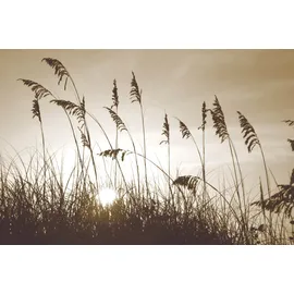 Queence »Düne« Selbstklebend, kinderleichte Anbringung