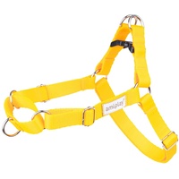amiplay Hunde-Geschirr Verstellbares Hunde Brustgeschirr Easy Go SAMBA, farbenfrohe Designs gelb L 55-75 c , d x 2,5cm