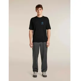 Icebreaker Herren Cotton Twill Wander Hose (Größe L, grau)