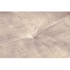 Riess-Ambiente Stuhl EUPHORIA - drehbar champagner greige Samt Armlehne Metallgestell schwarz Esszimmer