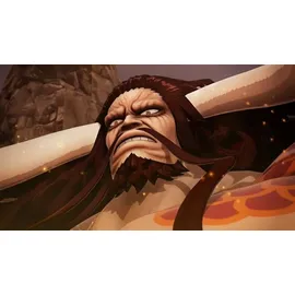 One Piece Pirate Warriors 4