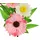 I.GE.A. Kunstzweig I.GE.A. "Dekozweig Gerbera Margeriten", rosa, B:14cm H:24cm L:6cm, Polyester, Kunstpflanzen, Kunstzweig, 3er Set Zweig Einzelblumen Kunstblumen Blumen Dekozweige