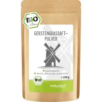 bioKontor Gerstengrassaftpulver BIO Pulver 250 g