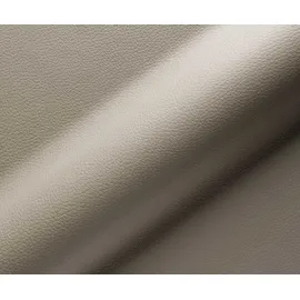 DeLife Freischwinger Vinka-Flex mit Armlehnen Echt-Leder Schlamm Freischwinger rund Schwarz Taschenfederkern,