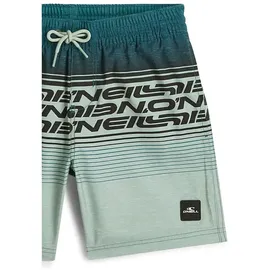 O'Neill Logo Stripe Badeshorts Grün 128