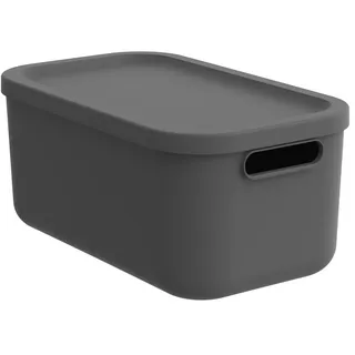 Rotho Aufbewahrungsbox 12 L Albula anthrazit inkl. Deckel