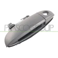 PRASCO HN0028002