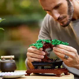 LEGO Botanicals Bonsai Baum 10281