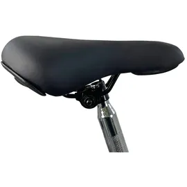 Llobe Pure 20 Zoll RH 43 cm schwarz