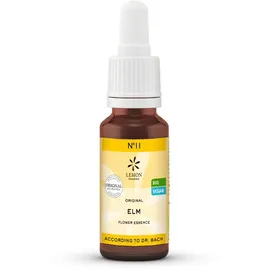 Hager Pharma Gmbh Bachblüte numero 11 Elm Bio