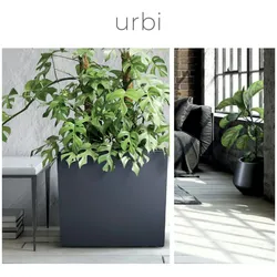 Prosperplast - Balkonjardiniere URBI CASE Weiß, Abmessungen 580x180x195 mm