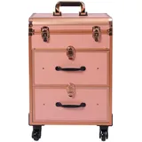 Kosmetikkoffer Trolley, Kosmetikkoffer Schminkkoffer mit 4 Rollen, Abschließbar Friseurkoffer Rollkoffer, bis zu 50kg, Friseurwerkzeug-Organizer für Haarschneiden, Make-up, Friseure (Roségold)