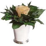 ROSEMARIE SCHULZ Heidelberg Infinity Blume in silberfarbenen Becher 1 ewige Rose konserviert Blumenstrauß langhaltend (Beige, 1 Rose)