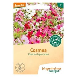 Bingenheimer Saatgut Cosmea