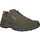 Lowa Renegade Evo GTX Lo Herren oliv/beige 46