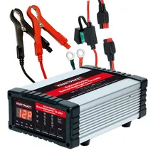 Dino Kraftpaket 25A 12V