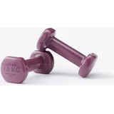 Hantelset Gusseisen teilweise recycelt 2 × 1,5 kg - bordeauxrot violett 1.5kg