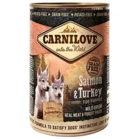 CARNILOVE Wild Meat Salmon & Turkey