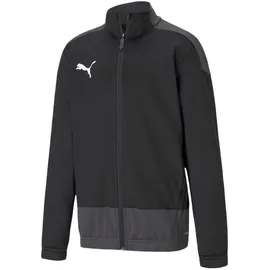 Puma Teamgoal 23 Training Jacket Jr (656570)