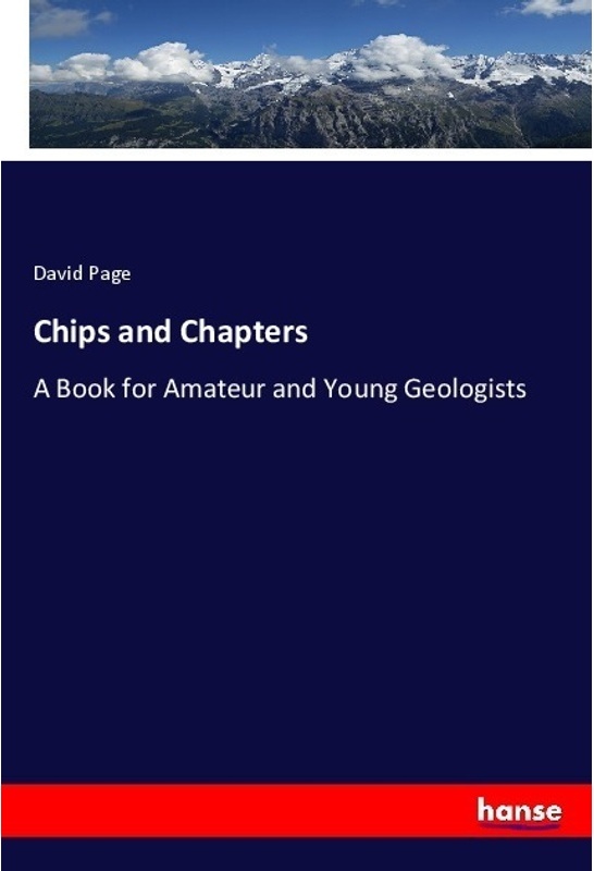 Chips And Chapters - David Page, Kartoniert (TB)