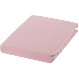 Estella Spannbettlaken Zwirnjersey 6900 90 x 200 - 120 x 220 cm flieder
