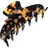 Balmain Hair Couture Cellulose Acetate Pince à cheveux Small Tortoise Shell Haarspangen 1 Stk.