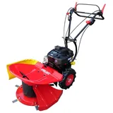 Profi Kreiselmäher mit E-Start, Variator und 6 Klingen - Balkenmäher