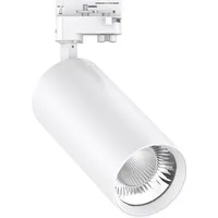 EVN EVN, Wandleuchte + Deckenleuchte, LED Schienenstrahler -rundCT350125-ws -IP20