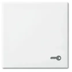 Wippe 1t Schalter Busch-balance SI aws glz Symbol Schlüssel/Tür