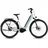 2026 28 Zoll RH 46 cm airygreen 'n' prism