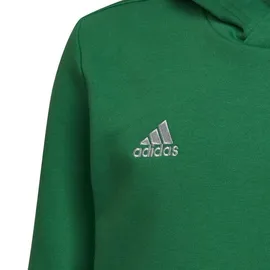 adidas Entrada 22 Sweat Hoodie Kinder - Team green/white, 116