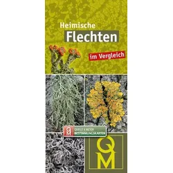 Heimische Flechten im Vergleich