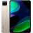 11.0'' 128 GB Wi-Fi champagne