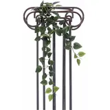 Europalms Philodendronbusch Classic, 70cm