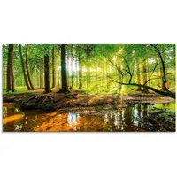 ARTland Artland, Wald mit Bach T9IO (60 x 30